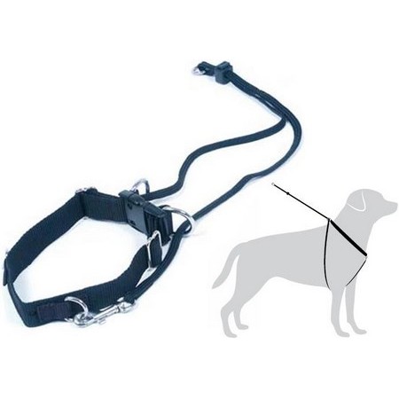Wandel Harnas Hond