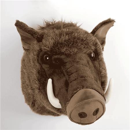 Wild Boar Head Trophy Nature De Brenne