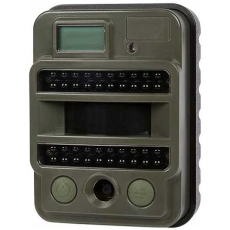 Wildcamera Numaxes Pie1028