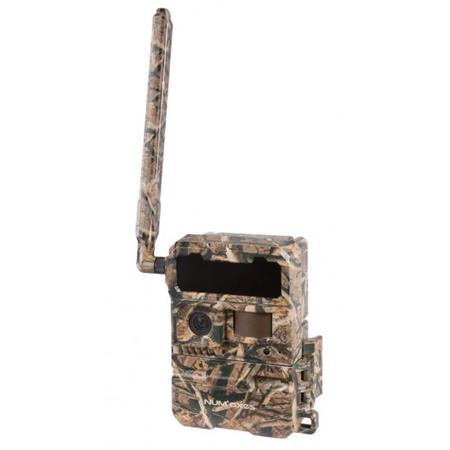 Wildcamera Numaxes Pie1067 Avec Carte Sim