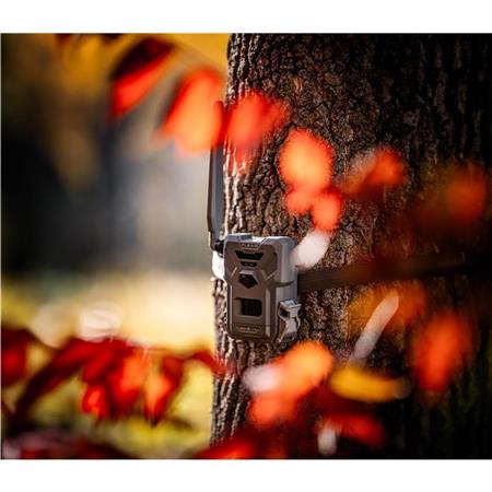 WILDCAMERA SPYPOINT FLEX-M