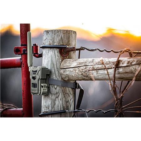 WILDCAMERA SPYPOINT FLEX-M