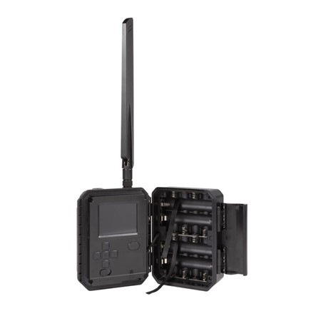 WILDKAMERA NUMAXES PIE1078