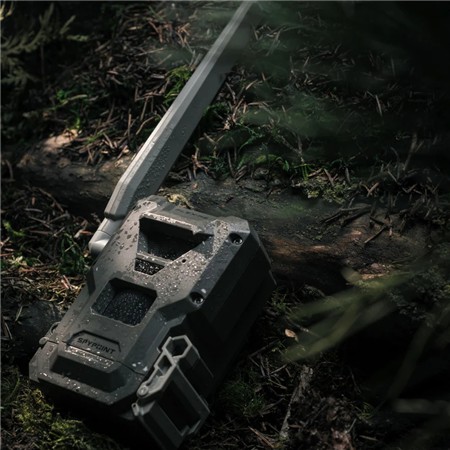 WILDKAMERA SPYPOINT FLEX-M2 TWIN PACK
