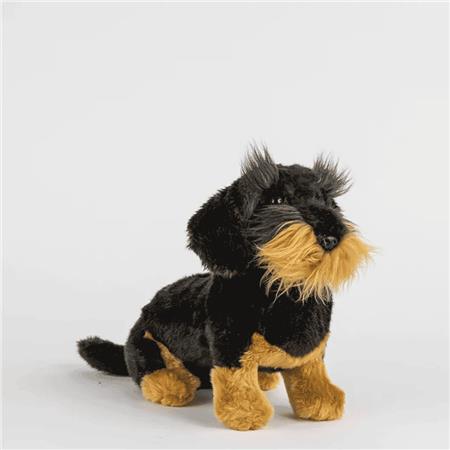 Wire-Haired Dachshunds Nature De Brenne