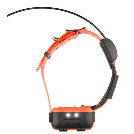 ZESTAW NUMAXES TÉLÉCOMMANDE + COLLIER DE REPÉRAGE CANICOM GPS 2