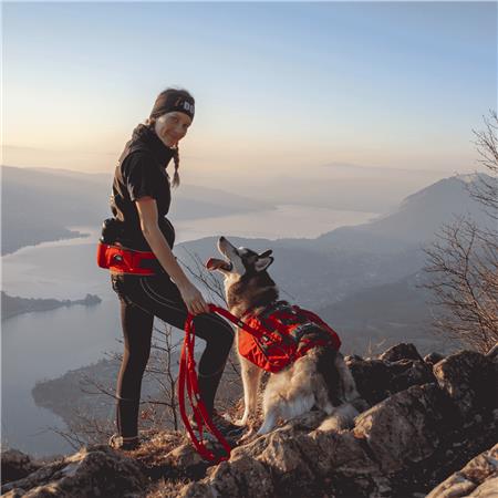 ZUGLEINE I-DOG COMFORT TREK