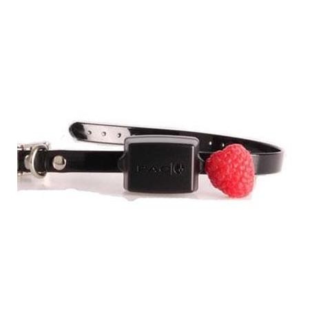 Zusätzliches Erziehungshalsband Pac Dog Mini Pac Exc6 + Ladegerät