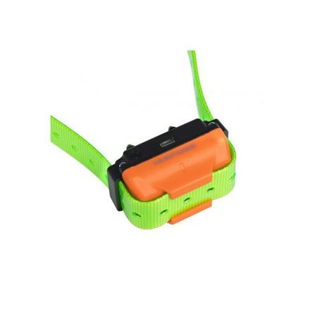 ZUSÄTZLICHES TRAININGSHALSBAND NUMAXES CANICOM R